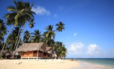 Jungle Falls Island –  sun and Bonfire