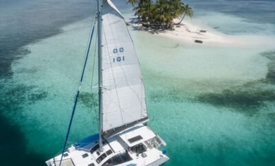 Green Paws – Eco & Petty Catamaran